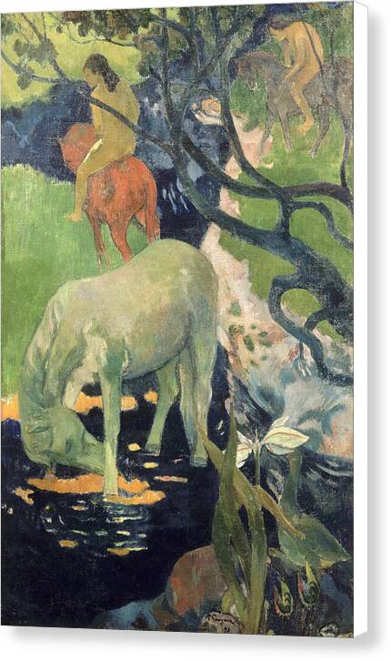 The White Horse - Canvas Print