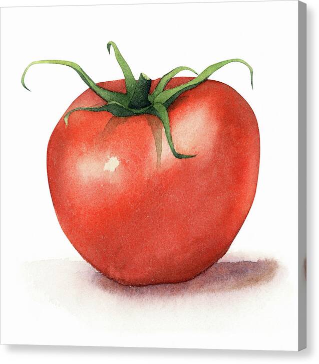 Tomato Watercolor - Canvas Print