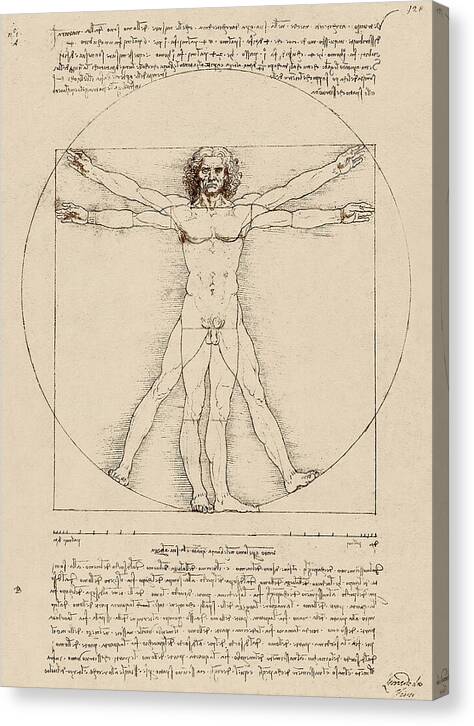 Vitruvian Man - Canvas Print