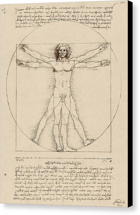 Vitruvian Man - Canvas Print