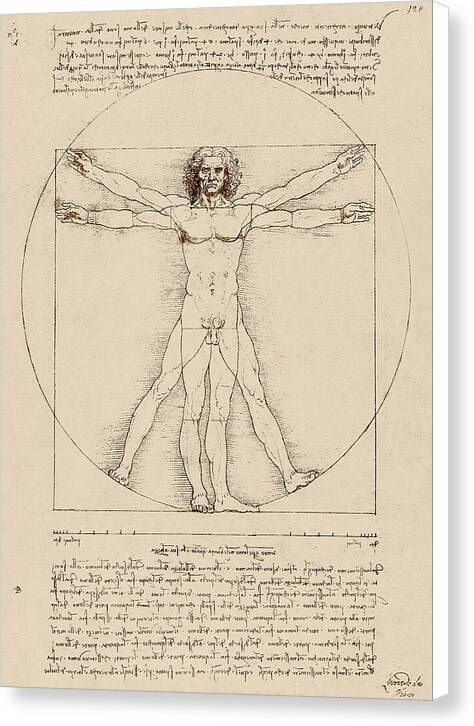Vitruvian Man - Canvas Print