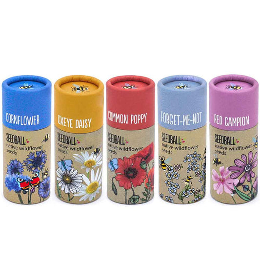 Wildflower Seedball Tubes &Keep