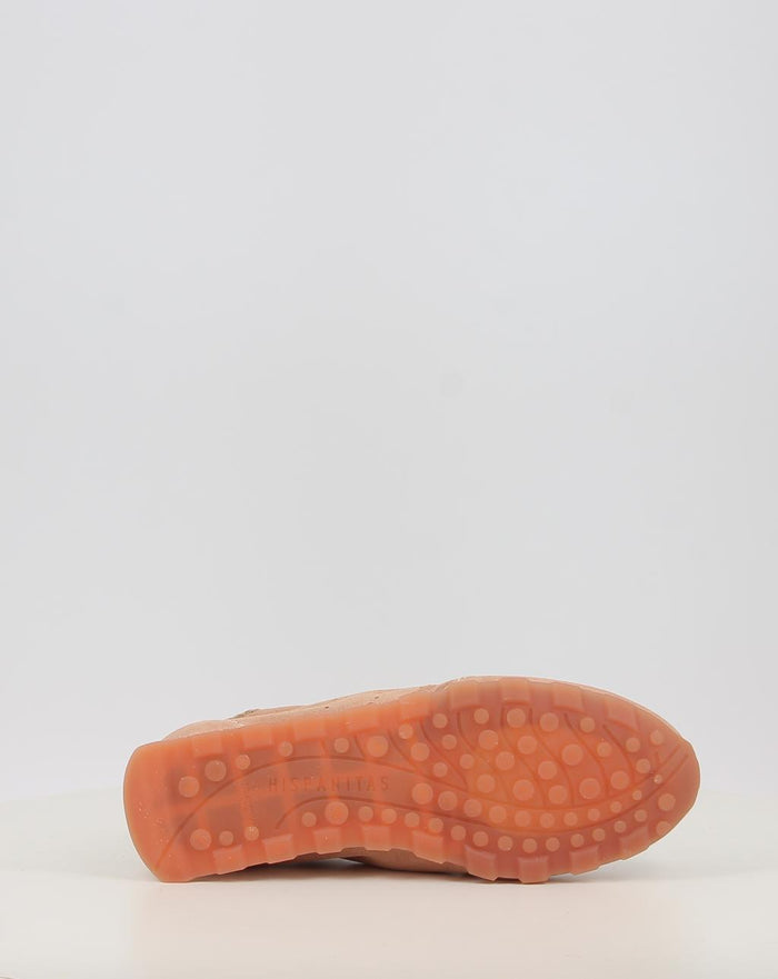 ZINNIA HV264502
