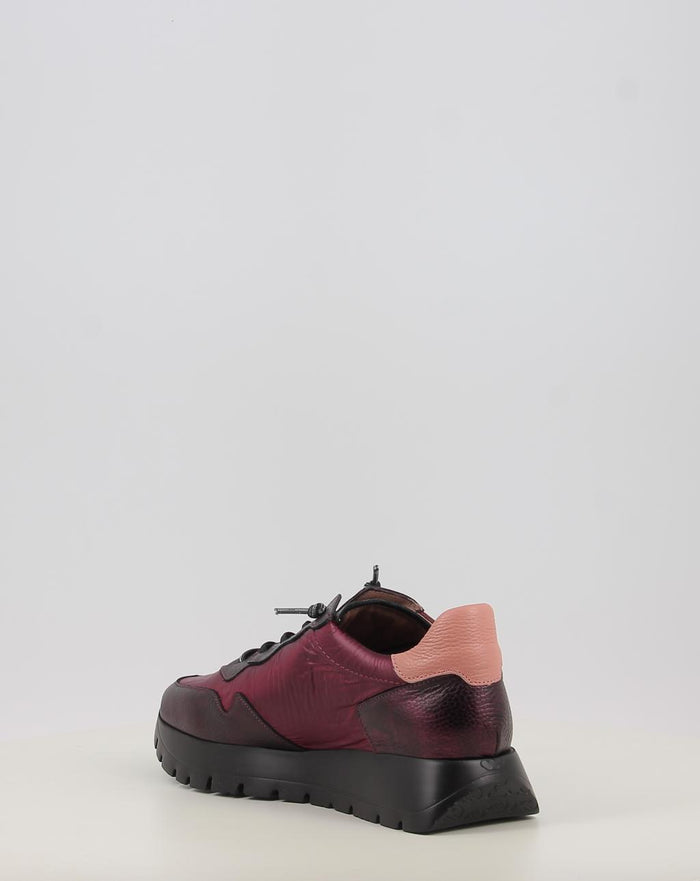 A 2491